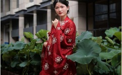 少年歌行真人版在线观看全集免费播放